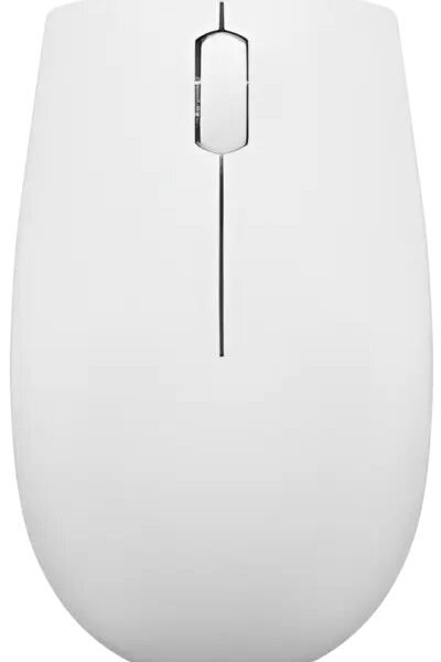 Mouse/ Lenovo L300 Wireless Mouse